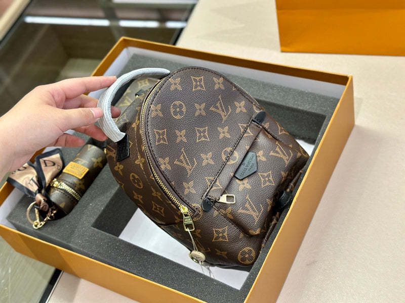 Louis Vuitton luxury backpack combo set